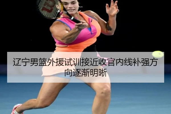 辽宁男篮外援试训接近收官内线补强方向逐渐明晰